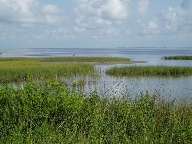 File:Brickwatermarshconcept.jpg