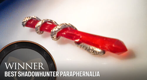 Shadowhunters AwardFrame Paraphernalia