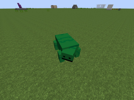 Salig.png