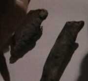 Black Swan Hotel bones