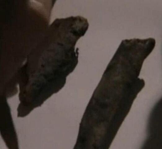 File:Black Swan Hotel bones.jpg