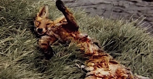 File:FoxPSA.png