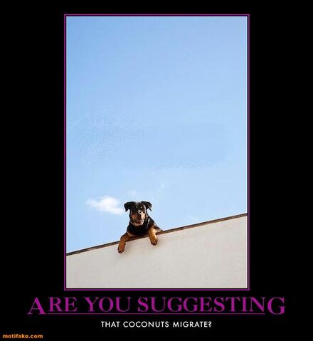 File:Are-you-suggesing-pzy-monty-python-coconut-migration-demotivational-posters-1306211123.jpg