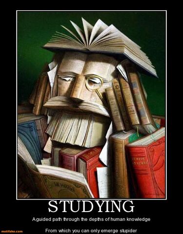 File:Studying-demotivation-studying-demotivational-posters-1333761227.jpg