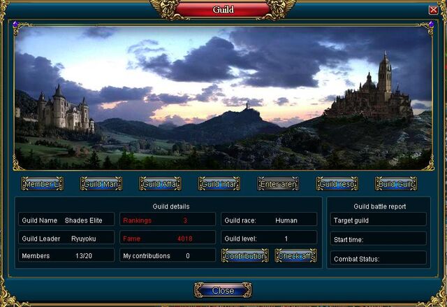 File:Guild Interface.jpg