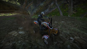 Ibex scout