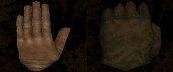 Gloves