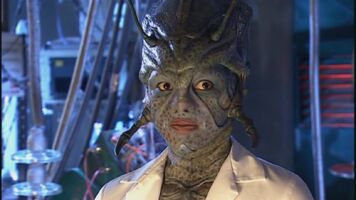 Chantho utopia