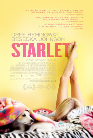 Datei:Starlet.jpg
