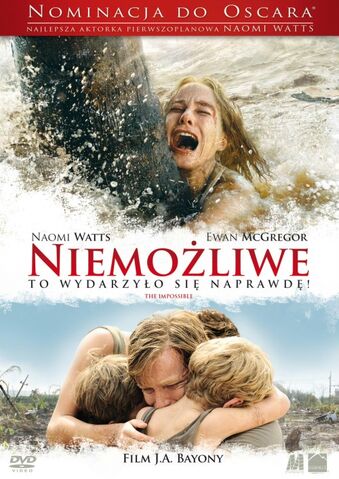Plik:Niemożliwe.jpg