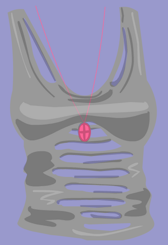 File:RetiredClothing-VIPSkinTight.png