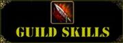 212px-00000guildskills