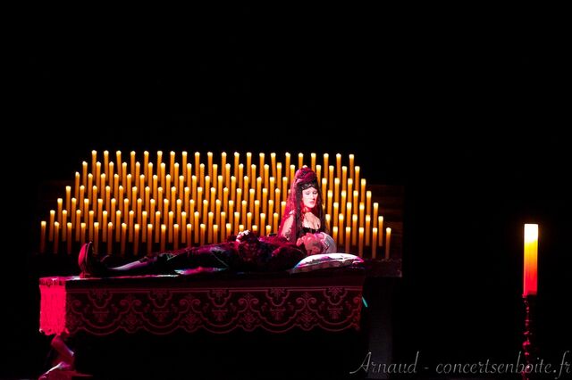 Fichier:Mozart-lopera-rock-le-dome-marseille-11-06-11-29.jpg