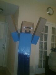 Steve (Minecraft Halloween Costume)
