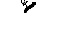 U0BC20 0CC21E98112B2 000