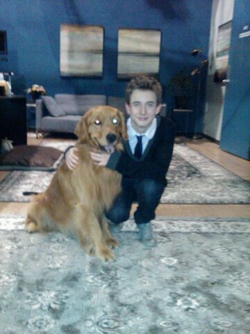 File:Mr. DogBTS03.jpg
