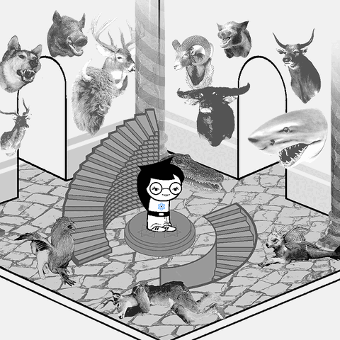 File:TrophyRoom.gif
