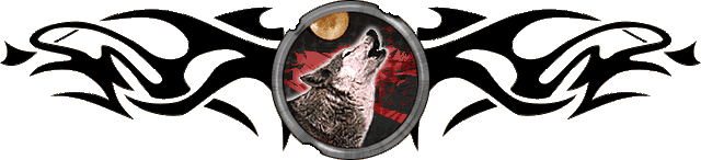 File:Aardwolf.gif