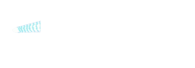 File:AxKingGokuKamehamehaProj.gif