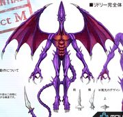 Adult Ridley