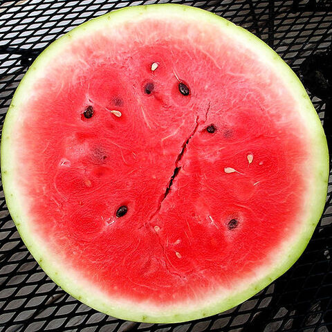File:Cut watermelon squared circle.jpg