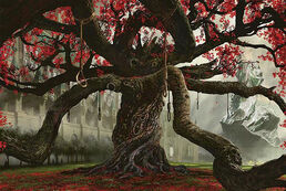 Stf162 tree
