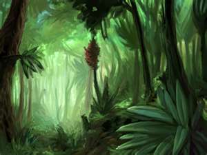 Jungle2