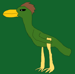 Diaktus