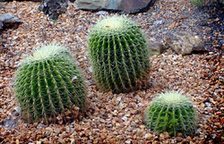 Esfera
