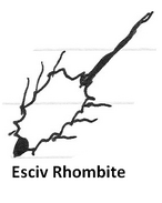 Esciv rhombite