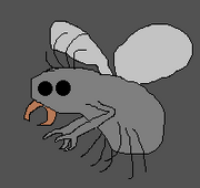 Silicis bug