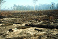 Thumbnail for version as of 18:42, June 28, 2011
