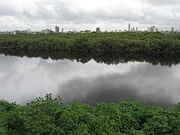 220px-River Mithi 3