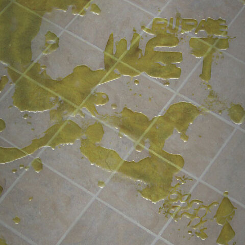 File:Pupae-makes-me-WET.jpg