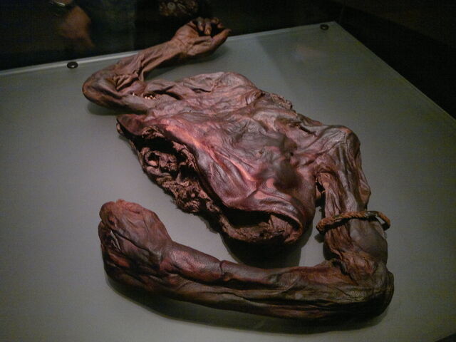 File:Old Croghan Man.jpg