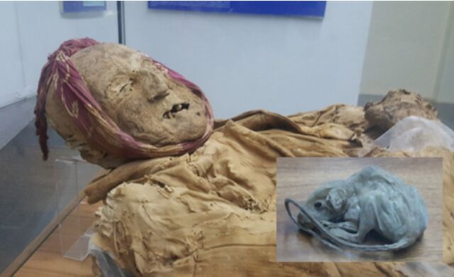File:Mummy-guano.jpg