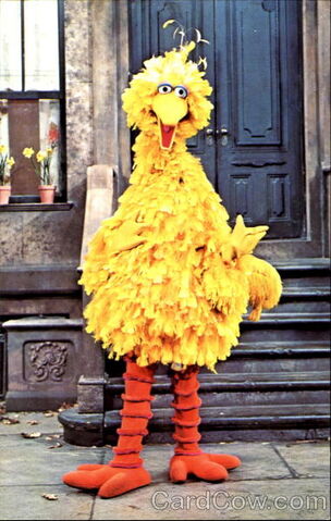 File:BigBird1972-1976.jpg