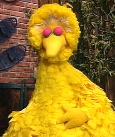 File:BigbirdclosedeyesQuietTime.jpg