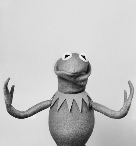 File:SüddeutscheZeitung-Kermit-02-HowIsShe.png