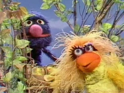 Episode 3699 | Muppet Wiki | FANDOM powered by Wikia