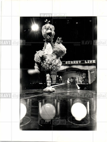 File:BigBirdSSL.jpg