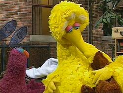 Episode 3884 | Muppet Wiki | Fandom powered by Wikia