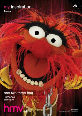 File:HMVAnimal.jpg