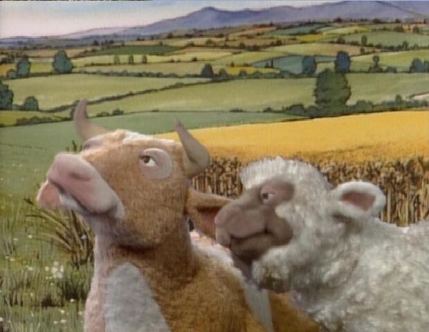File:Sheep cow.jpg