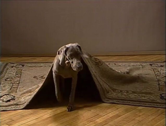 File:FayRay.rug.jpg