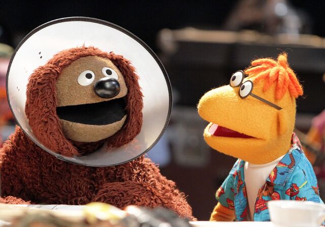 File:The-muppets-abc-gallery-5.jpg