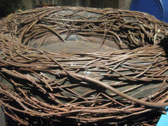 File:IMG 0812.jpg