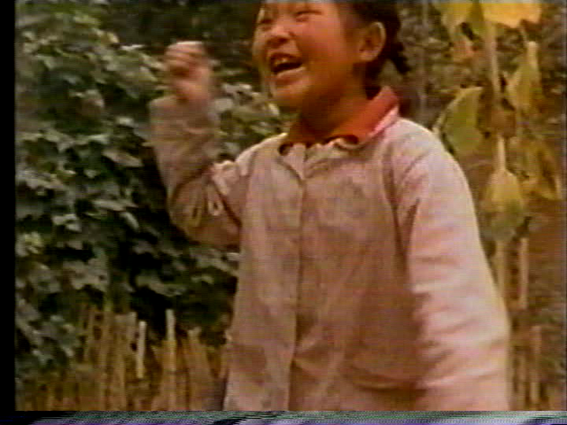 File:Vlcsnap-2016-03-08-17h10m32s746.png