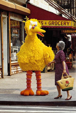 File:How2Get2SesameStreet.jpg
