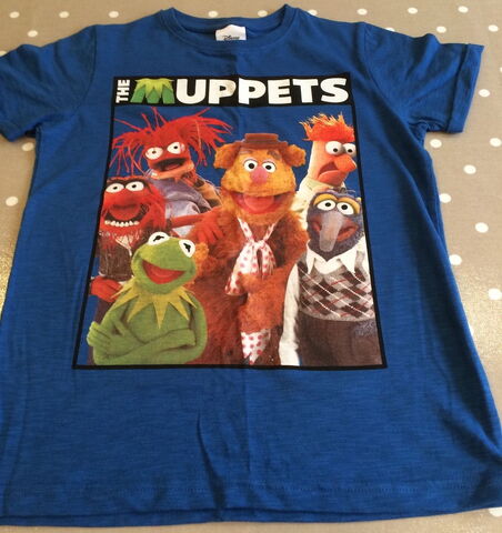 File:Next muppets cast shirt.jpg